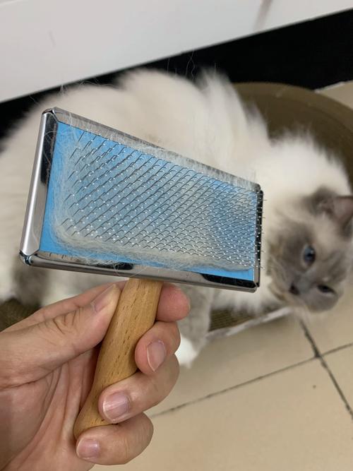 打理的本质是顺自己的毛