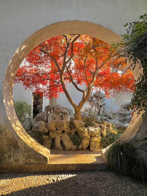 苏州园林月洞门枫叶框景