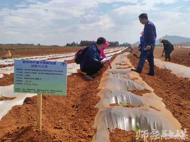 成果转化案例集：那些没被公开的落地真相