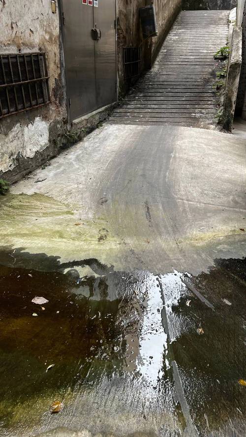 被踩坏的苔藓路面