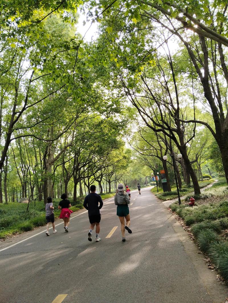 家庭亲子在公园晨跑锻炼的温馨特写