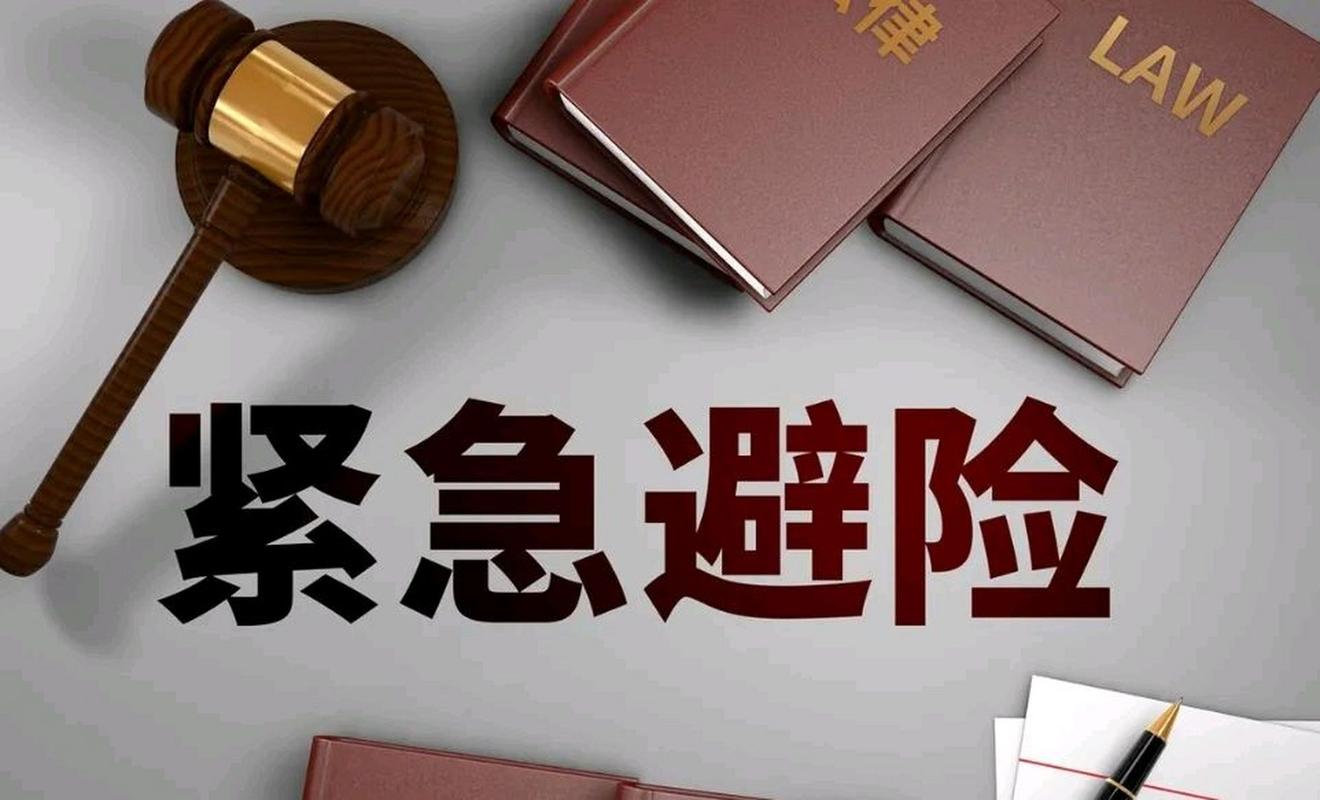 紧急避险的法律画像