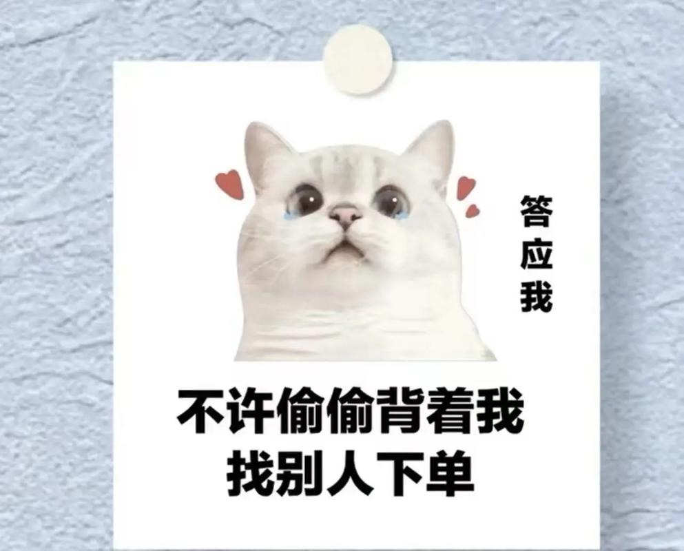 二、别急着下单,这些短板你可能不知道