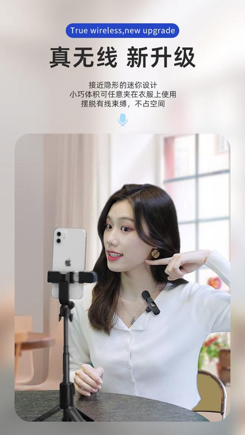 手机连接领夹麦拍Vlog实拍图