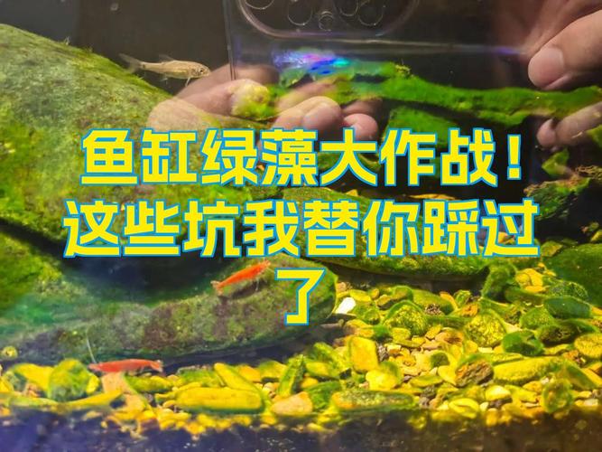 这些坑，我替你踩过了