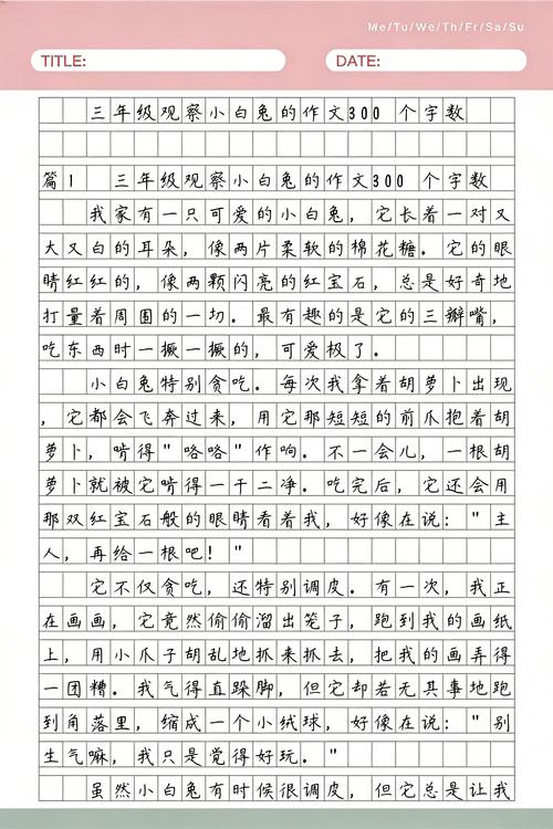 三个能直接落地的小观察