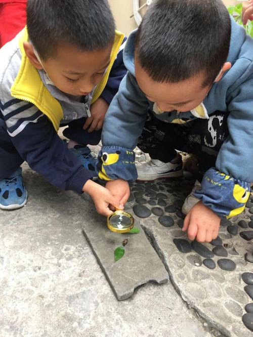 儿童阳台蹲地观察蜗牛实拍