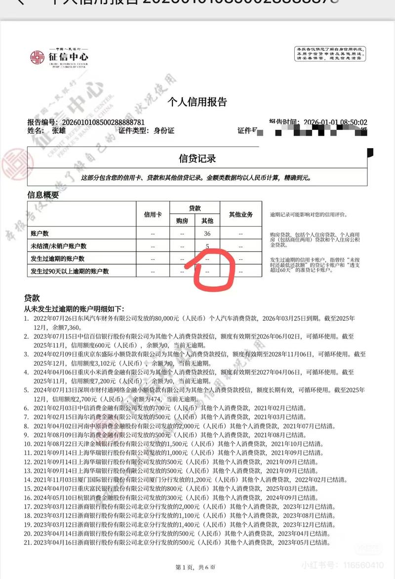 央行个人征信报告逾期记录页实拍图