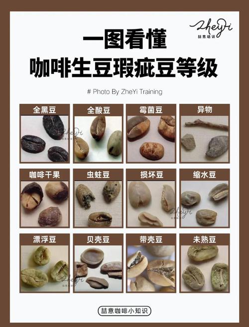 咖啡豆：从果实到杯中，一场风味的精密解码-因为所以
