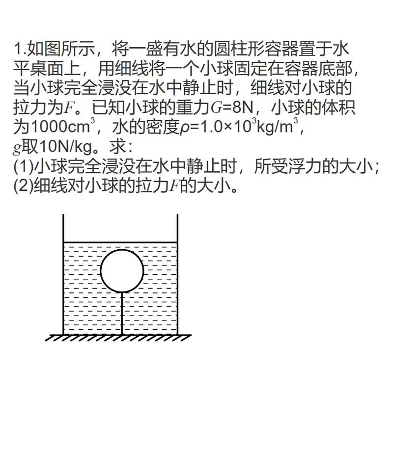 初中杠杆浮力结合计算题例题图