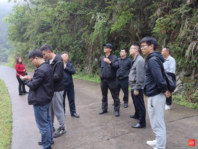 实地考察？不看这些等于白去