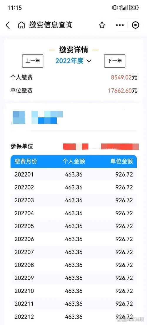 企业职工社保缴费记录对账单
