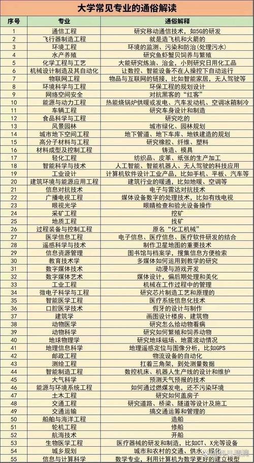 各主体专业解析