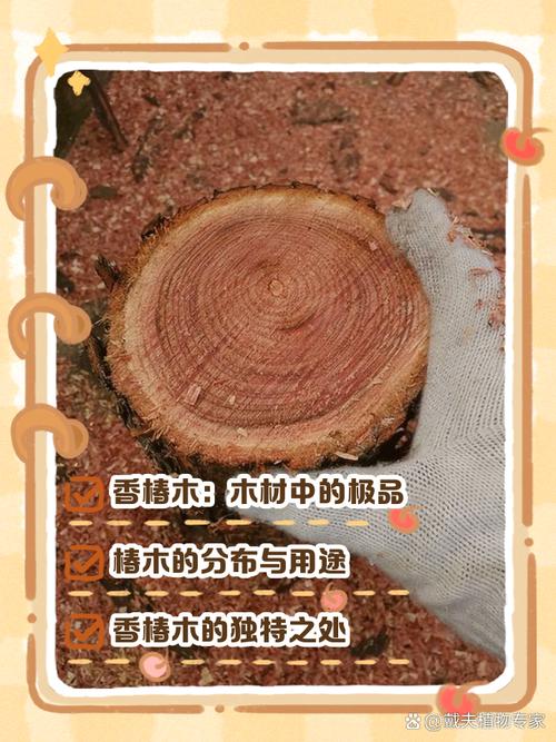 烧木头也有讲究,以及那些踩过的坑