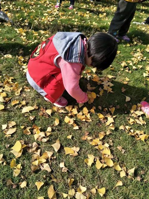 小孩蹲路边捡银杏落叶实拍