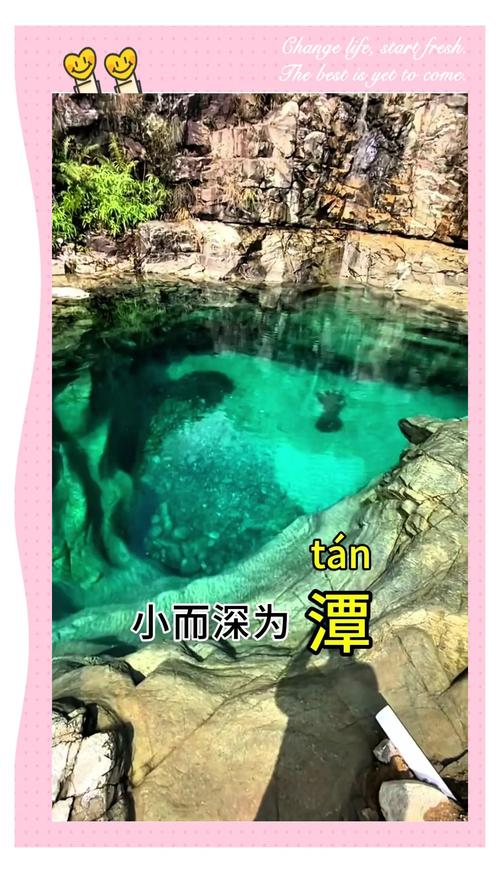 三、服务商生态：水有多深？