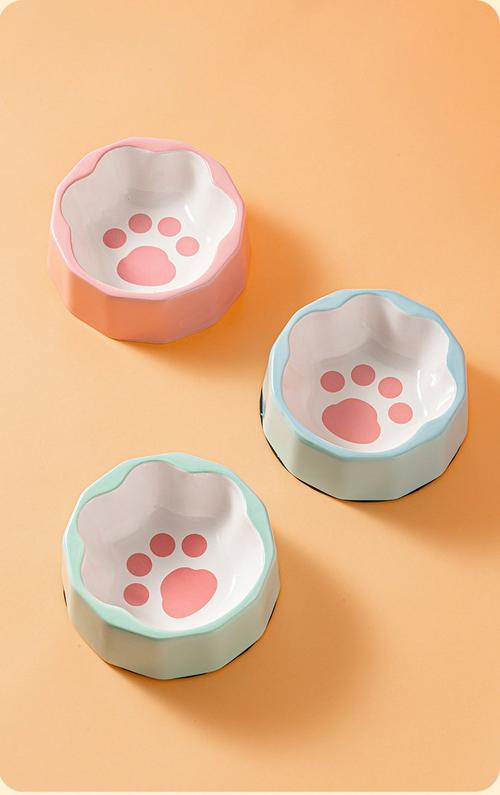 家用客厅陶瓷宠物水碗旁的猫狗脚印