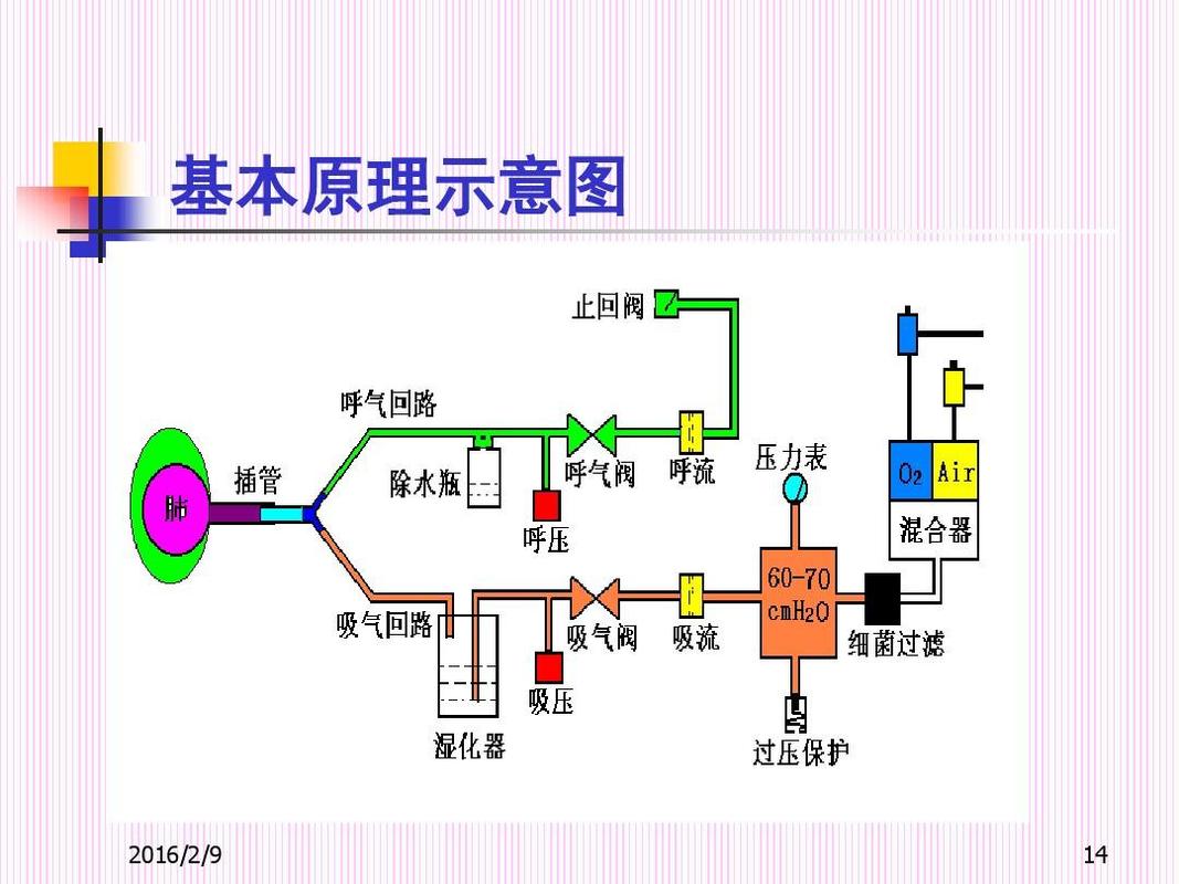 呼吸机气路系统原理图