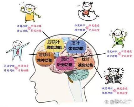 错误的速读方式：只动眼不动脑，信息流失示意图
