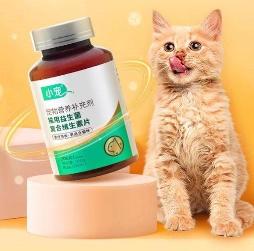 家庭常见易被犬猫误食的小物品合集实拍