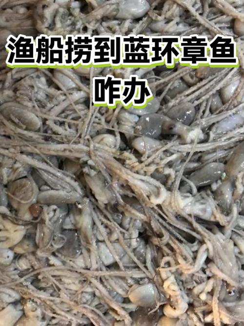 蓝不会沉底，只要有人伸手捞
