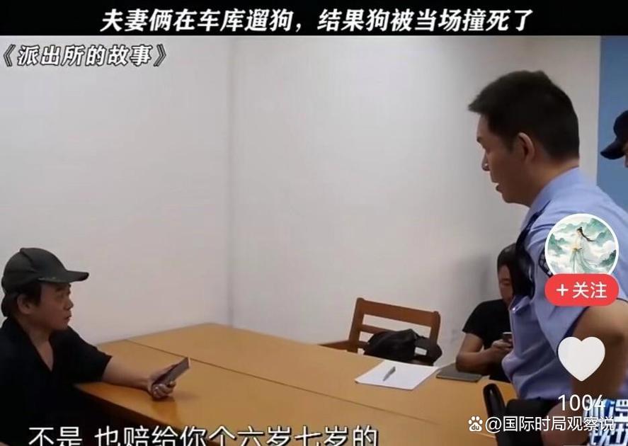 公共场所遛狗未牵绳伤人纠纷调解现场