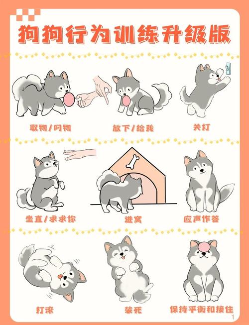 所有训练的核心：别让狗狗猜你的规则