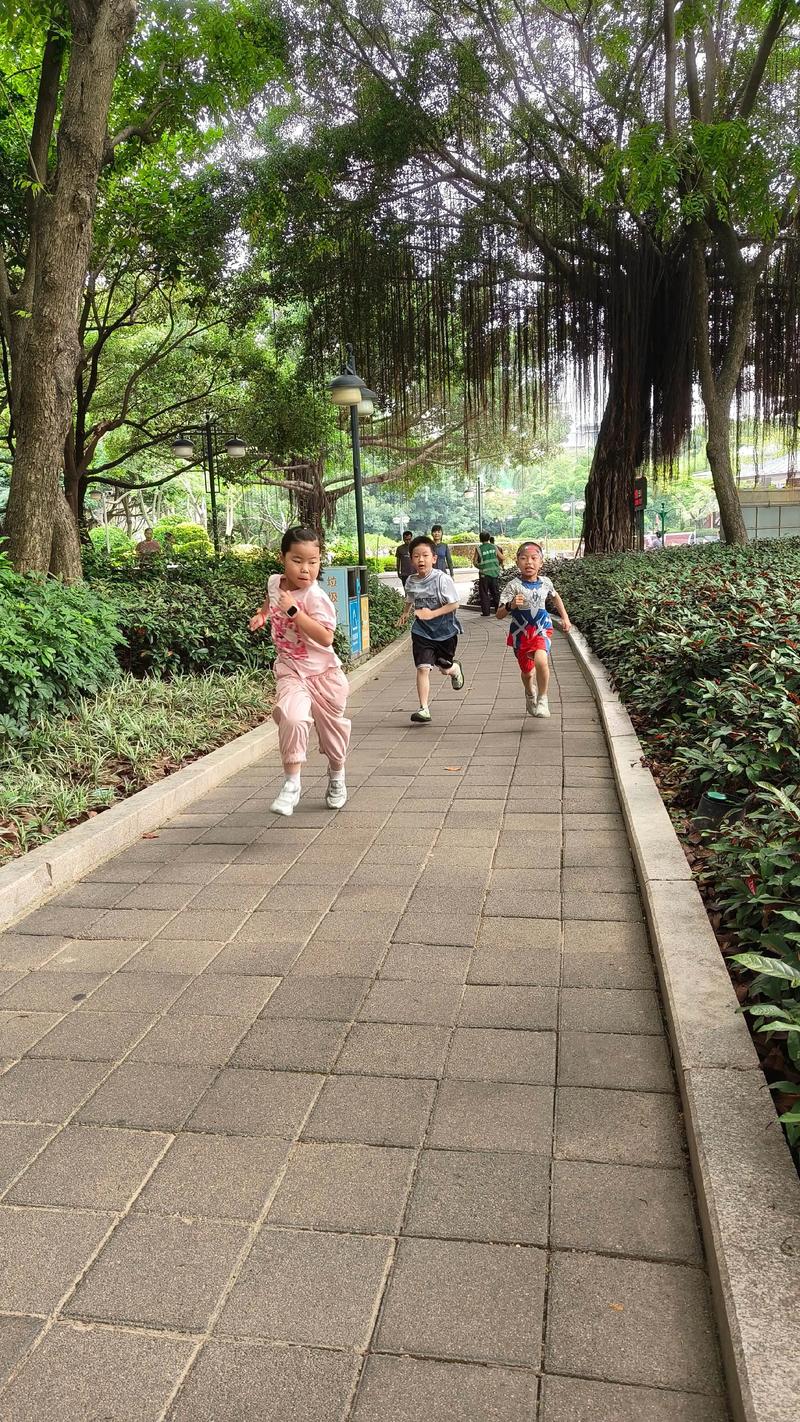 体育与健康:从“豆芽菜”到运动场,我们真的懂怎么动吗?-如东教育网