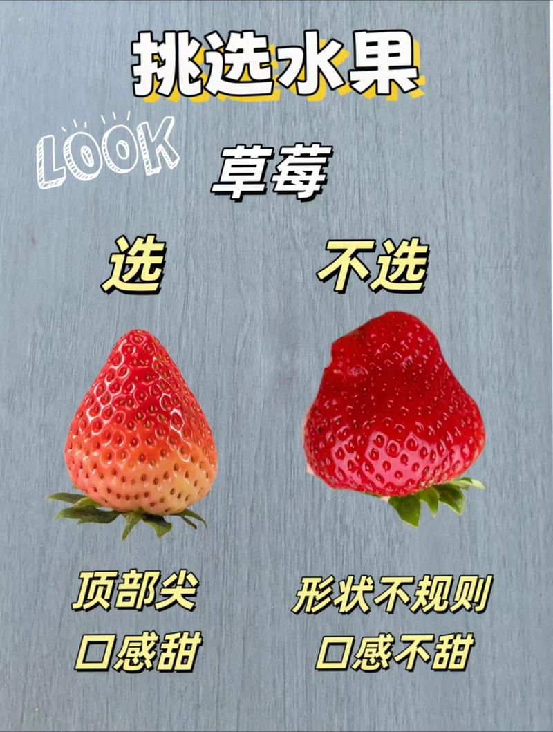 怎么挑才不踩坑?