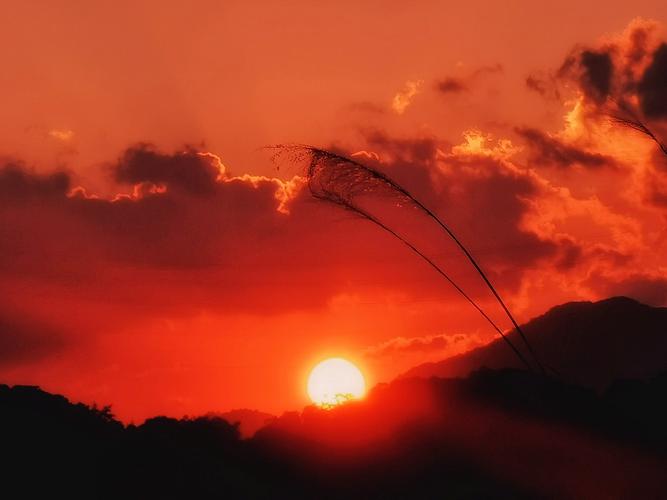 太阳往天山落的时候