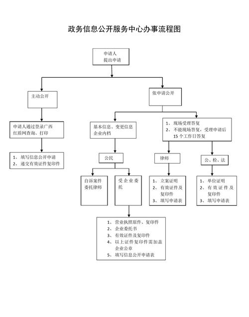 中国行政法信息公开申请流程示意图