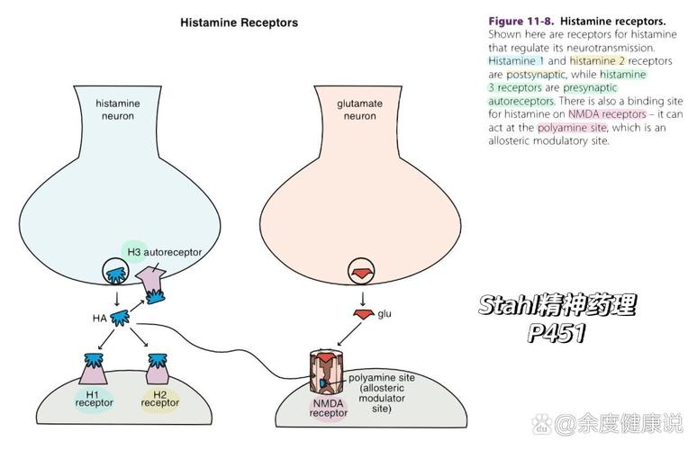 红酒中引起头痛的组胺和酪胺化学结构示意图