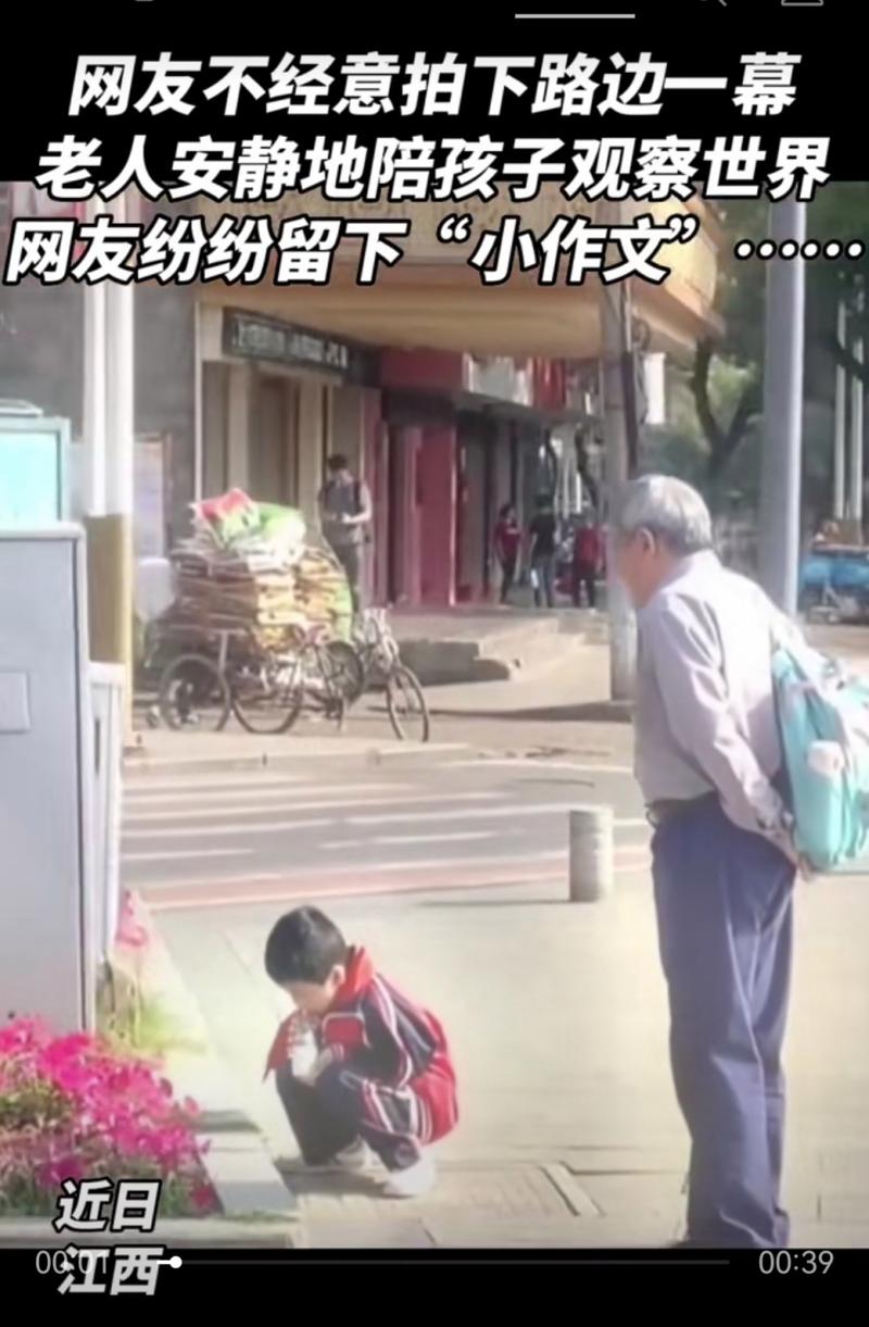 校园花坛边老师陪学生蹲着看蚂蚁
