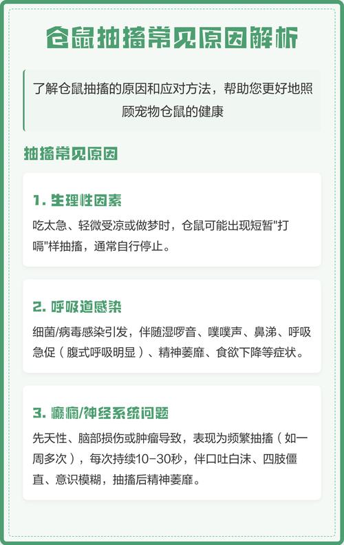 宠物抽搐常见原因区分对照表