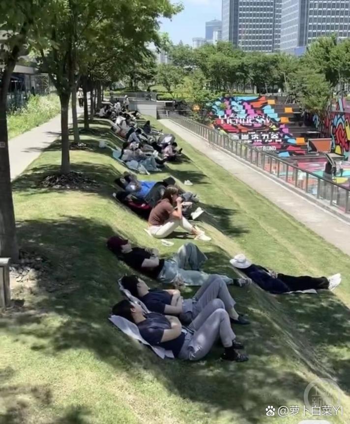 工厂午休时间家长带孩子在厂区草坪互动图