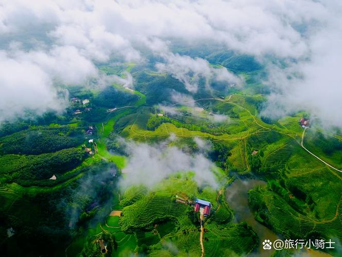 湖北南漳板桥云峰山居环山茶田远景