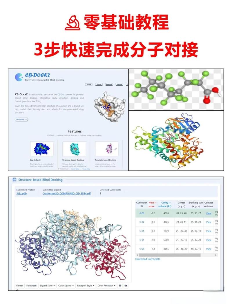 AI辅助药物分子对接结果示意图