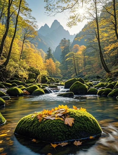 五感里的山水闲意