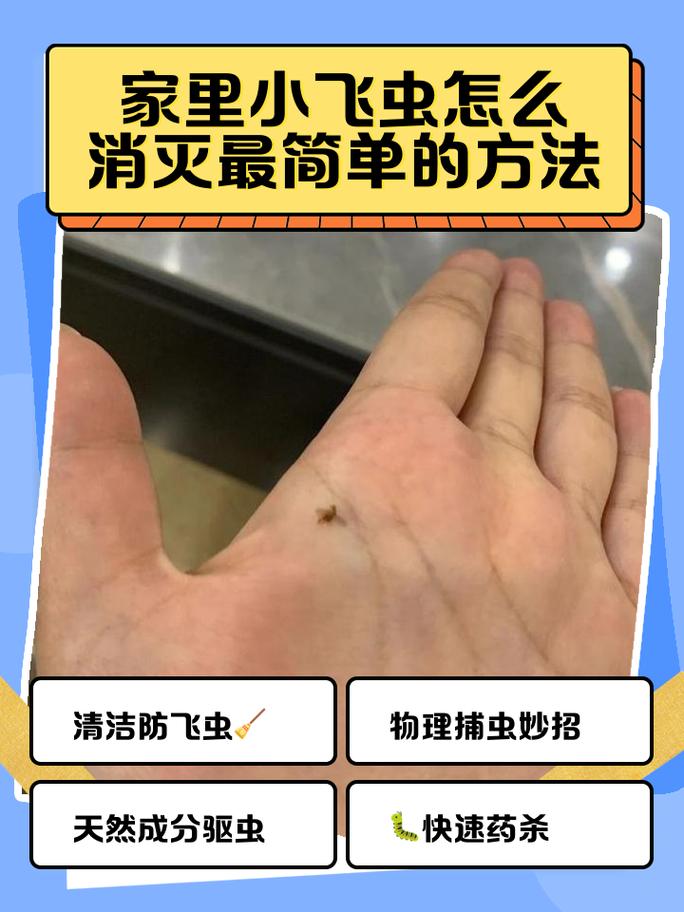 已经进家的虫子，用点小窍门比喷药安全
