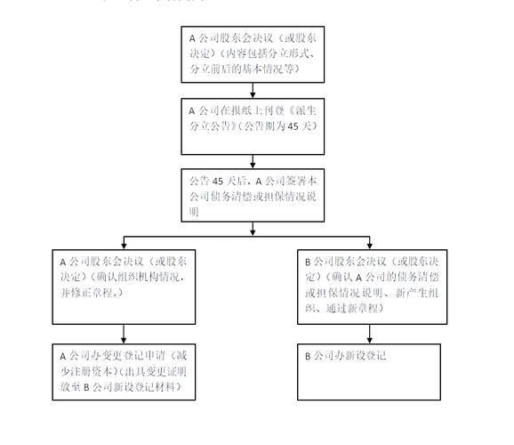 合伙企业合伙份额分割司法处理流程示意图