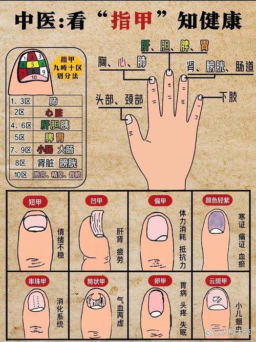 看指甲辨健康?别自己瞎吓自己