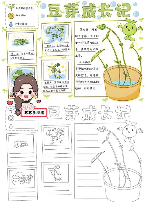 儿童手绘种子观察成长日记手账