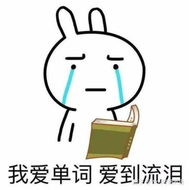 背单词卡背到哭的晚上