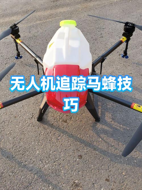 不用专业装备，家门口就能玩的追踪小技巧