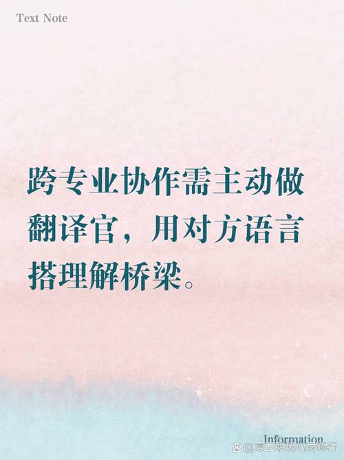 团队:最贵的是“翻译官”