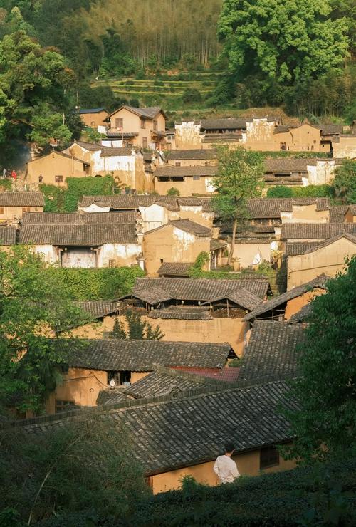 松阳杨家堂古祠堂青石板青苔反光