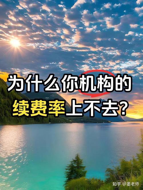 别只盯着续费率这一个指标