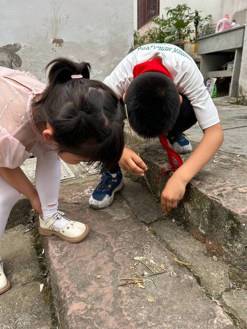 小学孩子蹲在路边观察西瓜虫的背影实拍