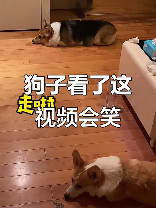 为啥有些搞笑视频刷完，你会突然觉得空落落的？
