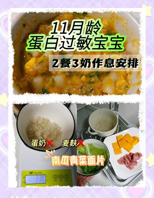 牛奶蛋白过敏宝宝辅食食谱书